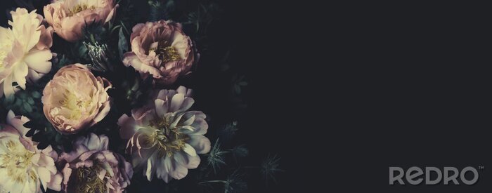 Poster Vintage bouquet of beautiful peonies on black. Floristic decoration. Floral background. Baroque old fashiones style. Natural flowers pattern wallpaper or greeting card
