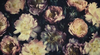 Fototapete Vintage bouquet of beautiful peonies on black. Floristic decoration. Floral background. Baroque old fashiones style. Natural flowers pattern wallpaper or greeting card