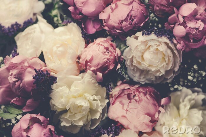 Poster Vintage bouquet of pink and white peonies. Floristic decoration. Floral background. Baroque old fashiones style image. Natural flowers pattern wallpaper or greeting card