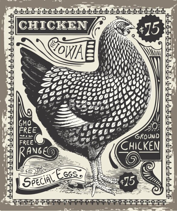 Poster Vintage Illustration einer Henne