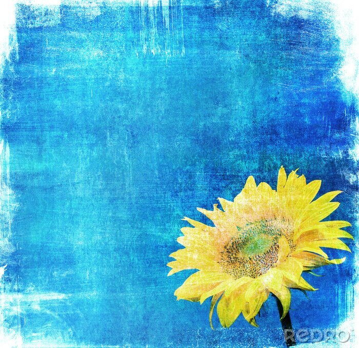 Poster Vintage-Sonnenblume auf blauem Hintergrund