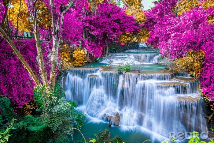 Poster Violette Blumen und Wasserfall