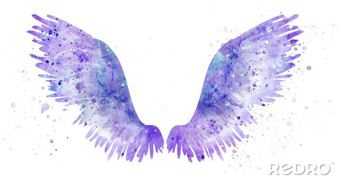 Poster Violette Flügel mit dunkelblauen Flecken