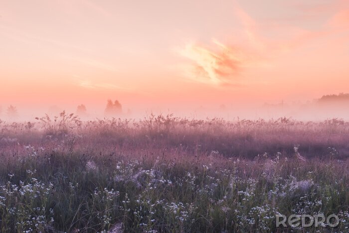 Poster Violette Wiese