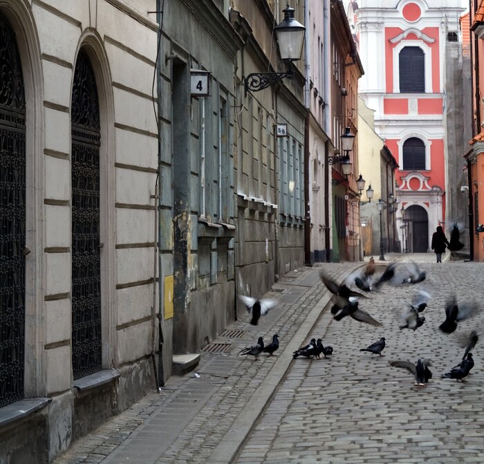 Poster Vögel auf gepflasterter Gasse