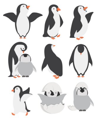 Vögel für Kinder Pinguin-Set