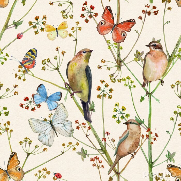 Poster Vögel, Schmetterlinge und Blumen