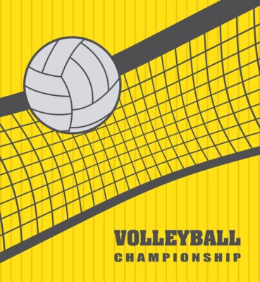 Poster Volleyball Beschriftung und ein weißer Ball reibt gegen das Netz