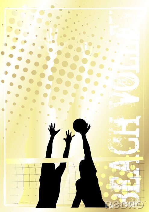 Poster Volleyballspieler