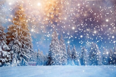 Poster Von Sternen erleuchteter Winterhimmel