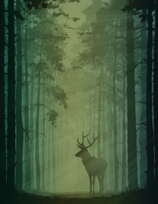 Poster Waldkulisse mit Hirsch