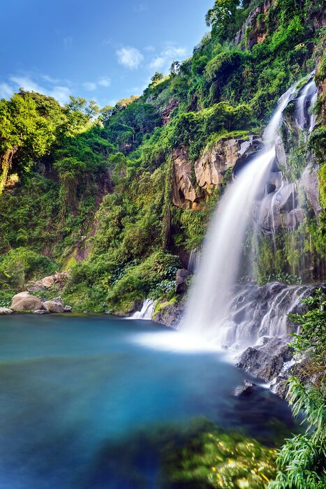 Poster Waldlandschaft mit Wasserfall