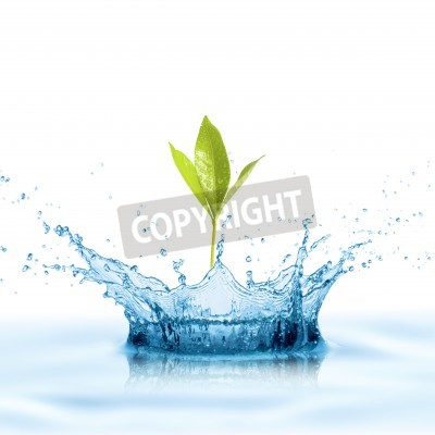 Poster Wasser als Lebensquelle