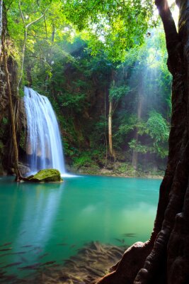 Wasserfall Dschungel 3D