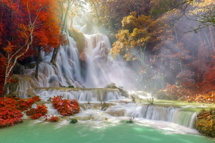 Poster Wasserfall im Regenwald