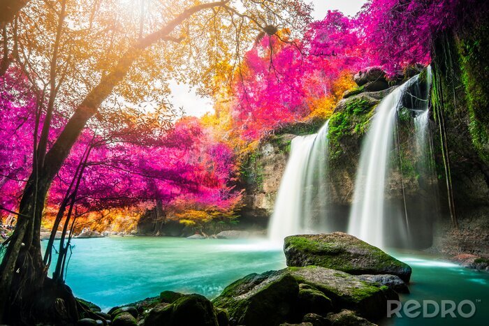 Poster Wasserfall Schönheit der Natur