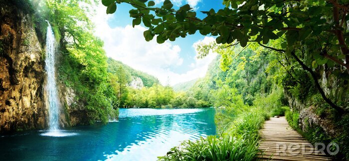 Poster Wasserfall See und Steg