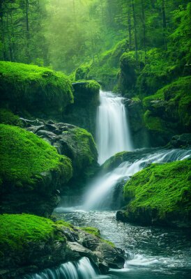 Poster Wasserfall zwischen grünen Steinen