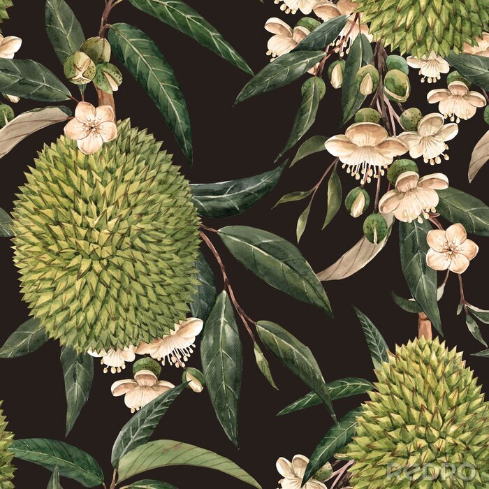 Poster Watercolor durian tropical seamless pattern