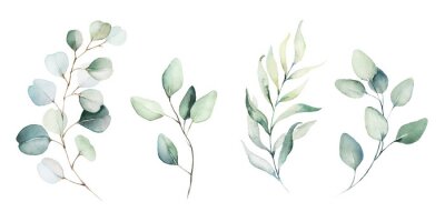 Fototapete Watercolor floral illustration set - green leaf branches collection, for wedding stationary, greetings, wallpapers, fashion, background. Eucalyptus, olive, green leaves, etc.