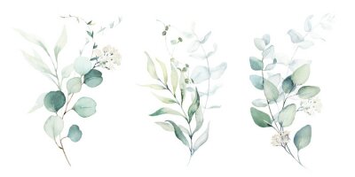 Fototapete Watercolor floral illustration set - green leaf branches collection, for wedding stationary, greetings, wallpapers, fashion, background. Eucalyptus, olive, green leaves, etc.