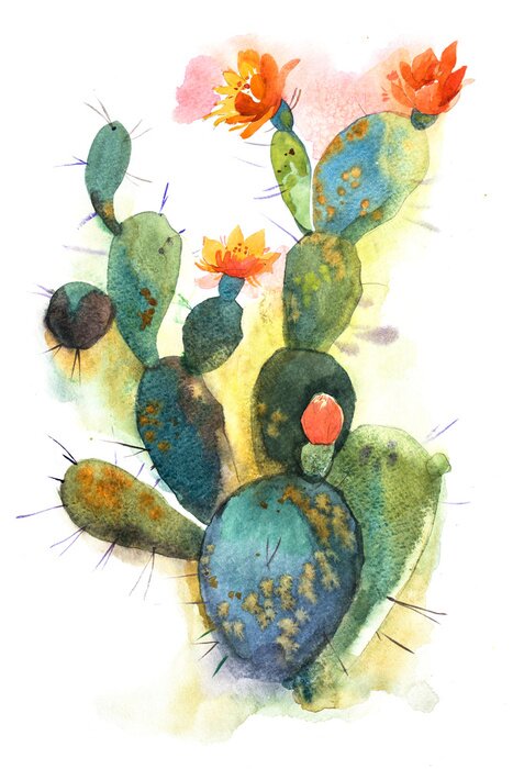 Poster Watercolor hand drawn spiky cactus bloom flower