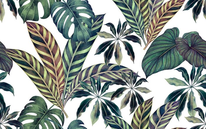 Poster Watercolor painting colorful tropical leaf,green leave seamless pattern background.Watercolor hand drawn illustration tropical exotic leaf prints for wallpaper,textile Hawaii aloha summer style..