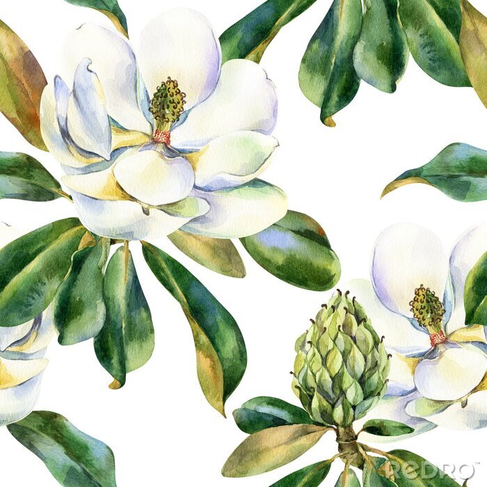 Poster Watercolor seamless pattern with white magnolia, green leaves, botanical painting isolated on a white background, floral painting, stock illustration.