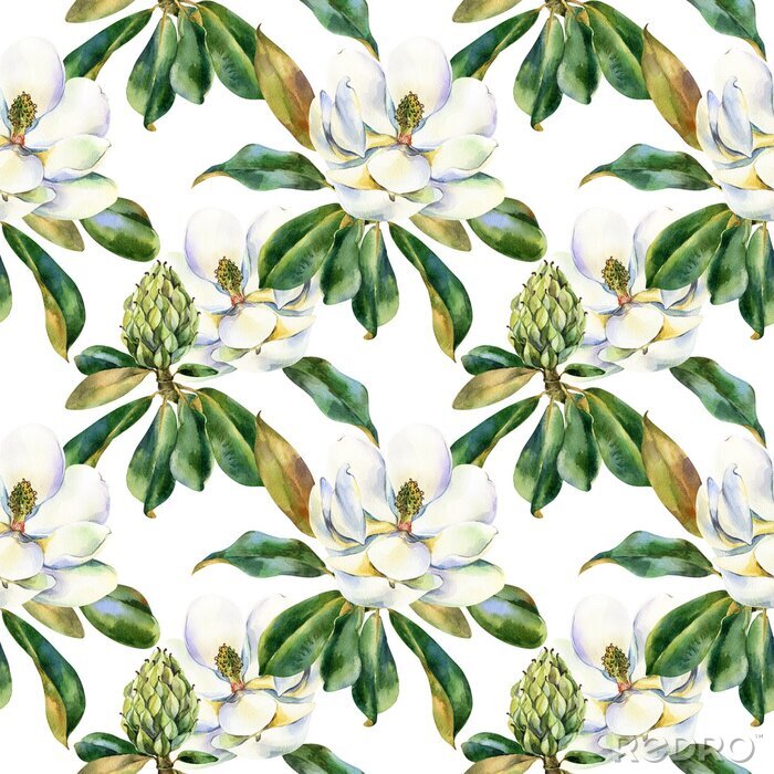 Poster Watercolor seamless pattern with white magnolia, green leaves, botanical painting isolated on a white background, floral painting, stock illustration. Fabric wallpaper print texture.