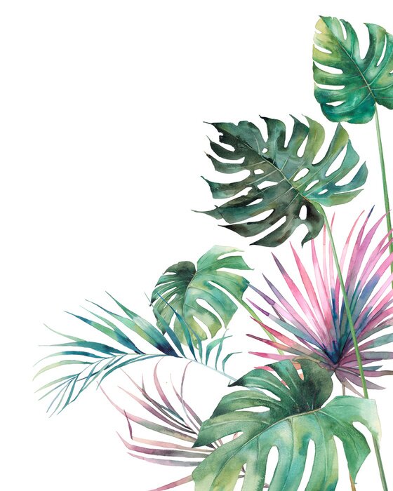 Poster Watercolor tropical flora poster. Hand drawn botanical art.