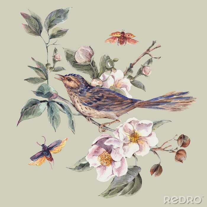 Poster Weinlese-Gruß-Karte mit blühenden Apfelbäumen und -vögeln