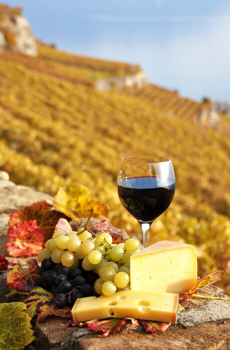 Poster Weinlese und Käseplatte