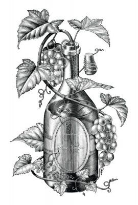 Poster Weinrebe aus einer Flasche herauswachsend