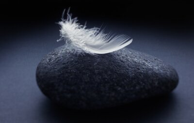 Weisse Feder auf Stein