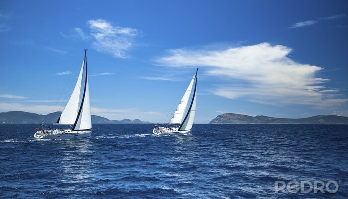 Poster Weiße Segelboote in Bucht