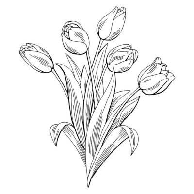 Poster Weiße Tulpen minimalistischer Strauß