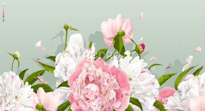 Poster Weiße und rosafarbene Blumen in voller Blüte