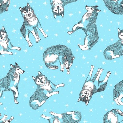 Weiße Wölfe auf blauem Hintergrund