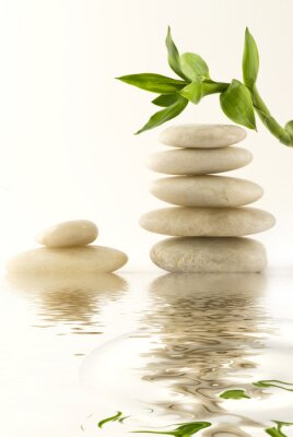 Poster Weiße Zen-Steine, bedeckt mit Bambussprossen