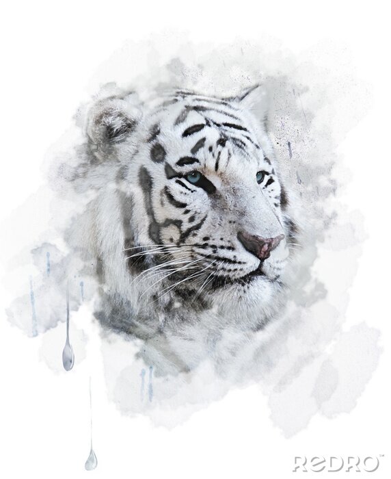 Poster Weißer tiger in aquarell