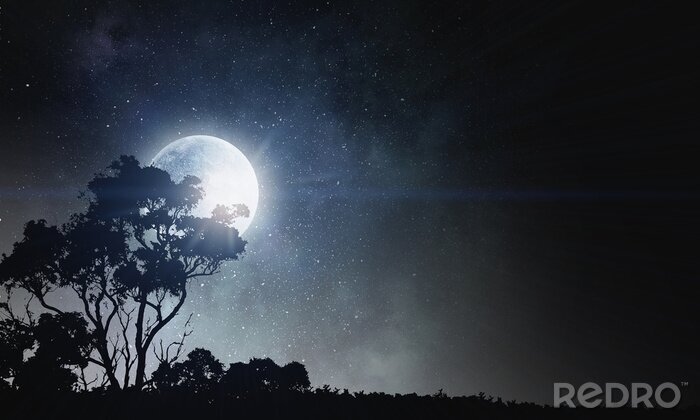 Poster Weltall in einer Sommernacht