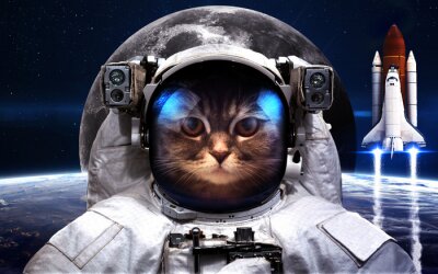 Poster Weltraummotiv mit Astronautenkatze