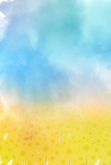 Poster Wiesenblumen gelb im Sommer