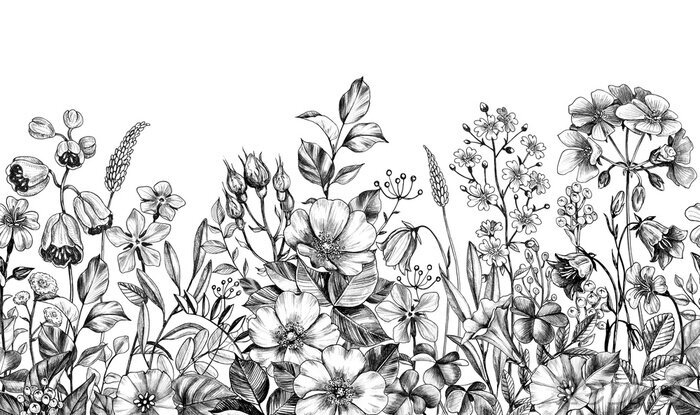 Poster Wild Plants and Flowers Seamless Border