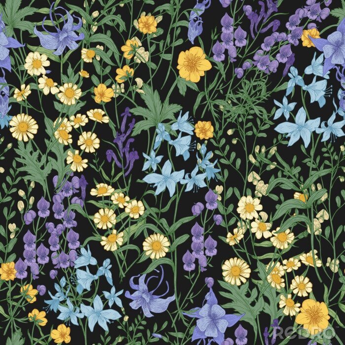 Poster Wildblumen auf schwarzem Hintergrund