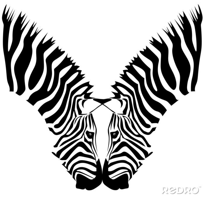 Poster Wilde Tiere Zebras berühren sich mit ihren Mündern