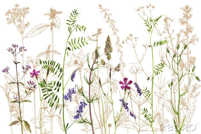 Poster Wilde Wiese mit bunten Blumen