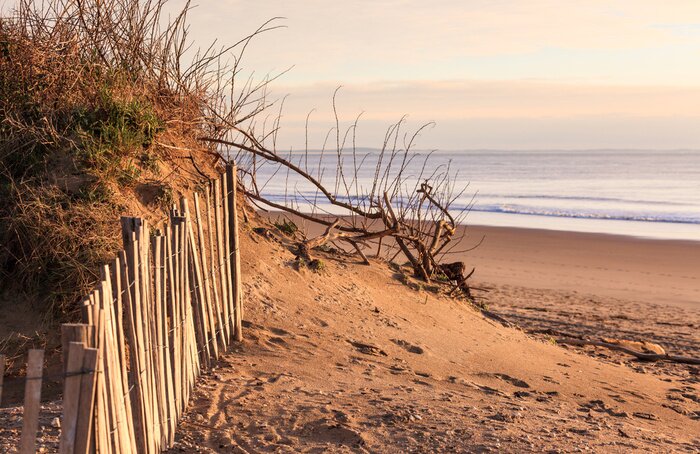 Poster Wilder Strand bei Sonnenuntergang