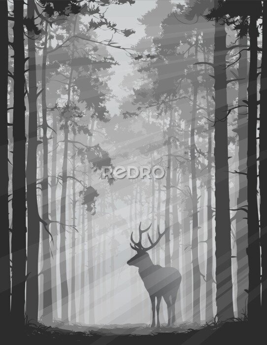 Poster Wildes Tier im monochromen Wald