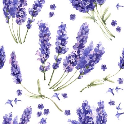 Wildflower Lavendel Blumenmuster in einem Aquarell-Stil isoliert.